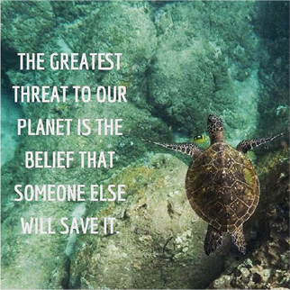 save the turtles